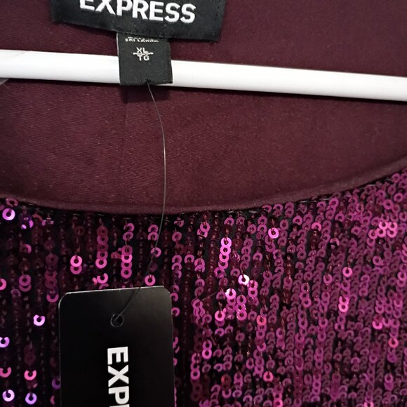 Express Long Sleeve Sequin Mini Dress *Holiday Ready! - Picture 5 of 5